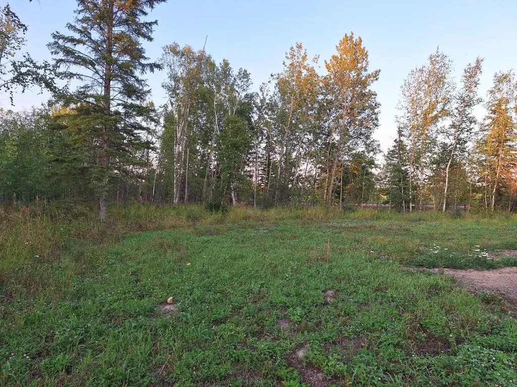 654036 Rge Road 222 Athabasca AB T9S 2A5