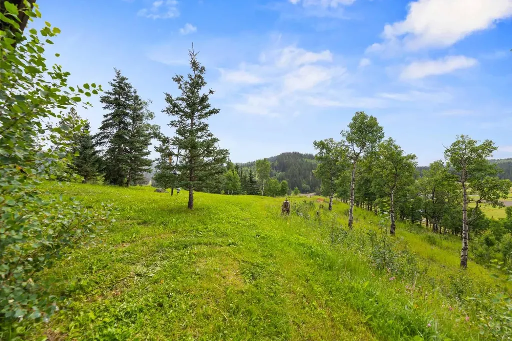 11 Black Bear Lane Rural Foothills County AB T0L 0K0