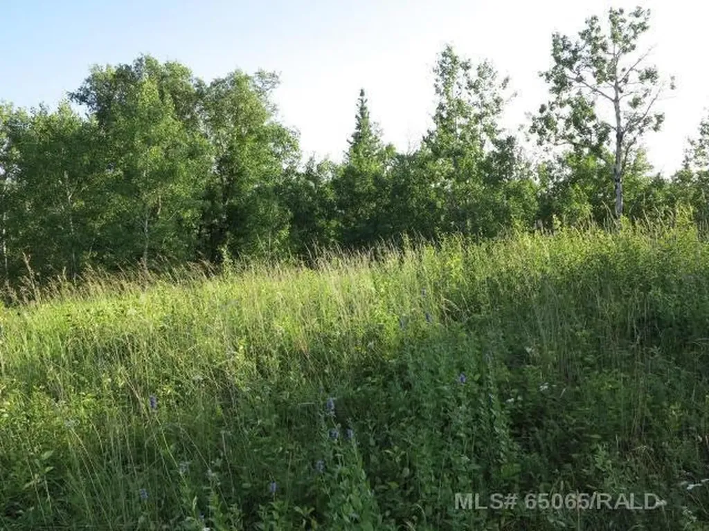 Lot 12 Blk 1 Lakeside Drive Perch Lake SK S0M 2G0