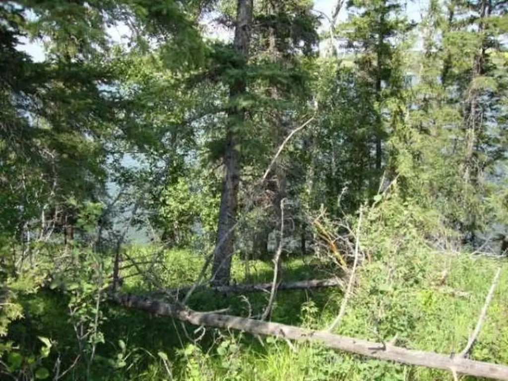 Lot 12 Blk 1 Lakeside Drive Perch Lake SK S0M 2G0