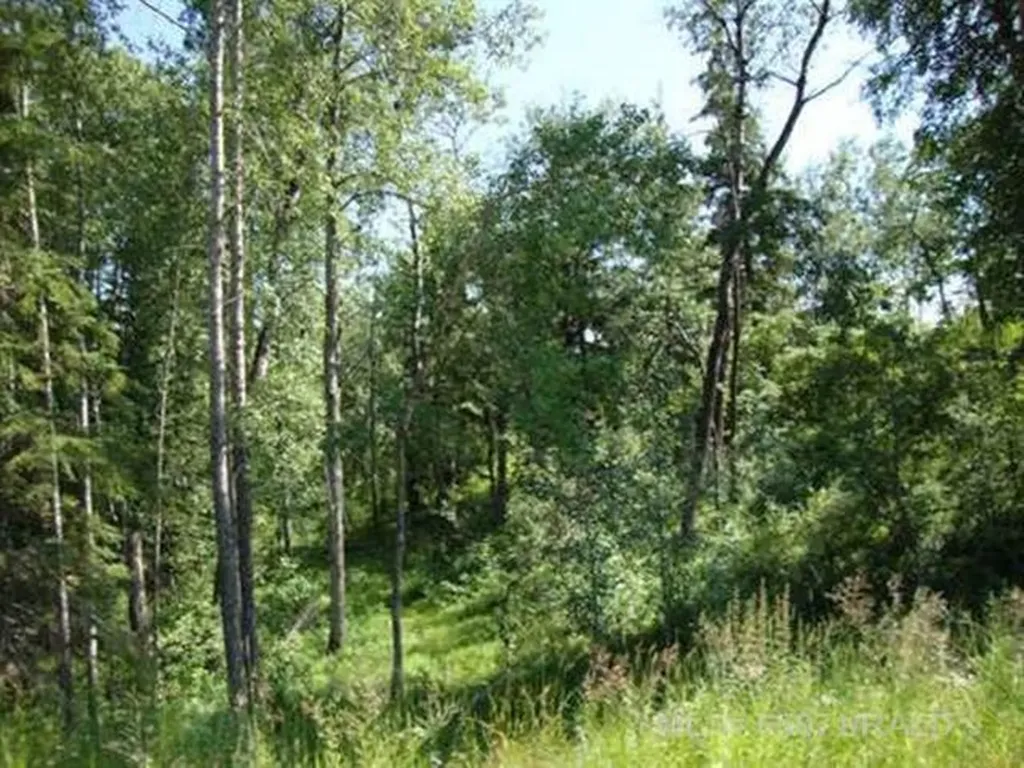 Lot 4 Blk 5 Lakeside Drive Perch Lake SK S0M 2G0