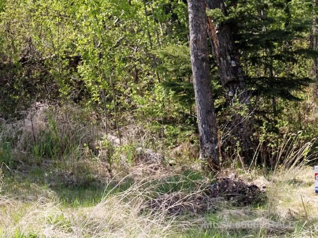 Lot 2 Blk 5 Lakeside Drive Perch Lake SK S0M 2G0
