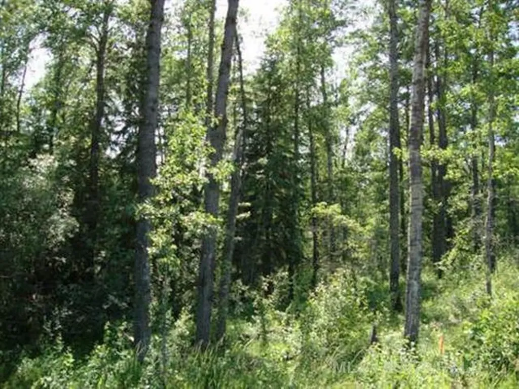 Lot 3 Blk 5 Lakeside Drive Perch Lake SK S0M 2G0