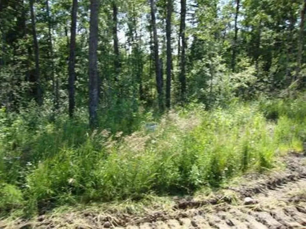 Lot 3 Blk 5 Lakeside Drive Perch Lake SK S0M 2G0
