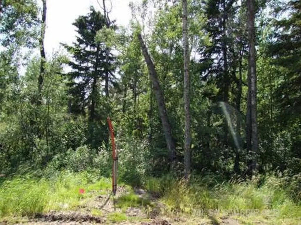 Lot 1 Blk 5 Lakeside Drive Perch Lake SK S0M 2G0