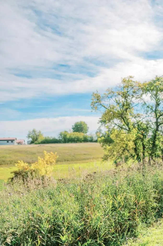 4406 47 Avenue Stettler AB T4K 0B7