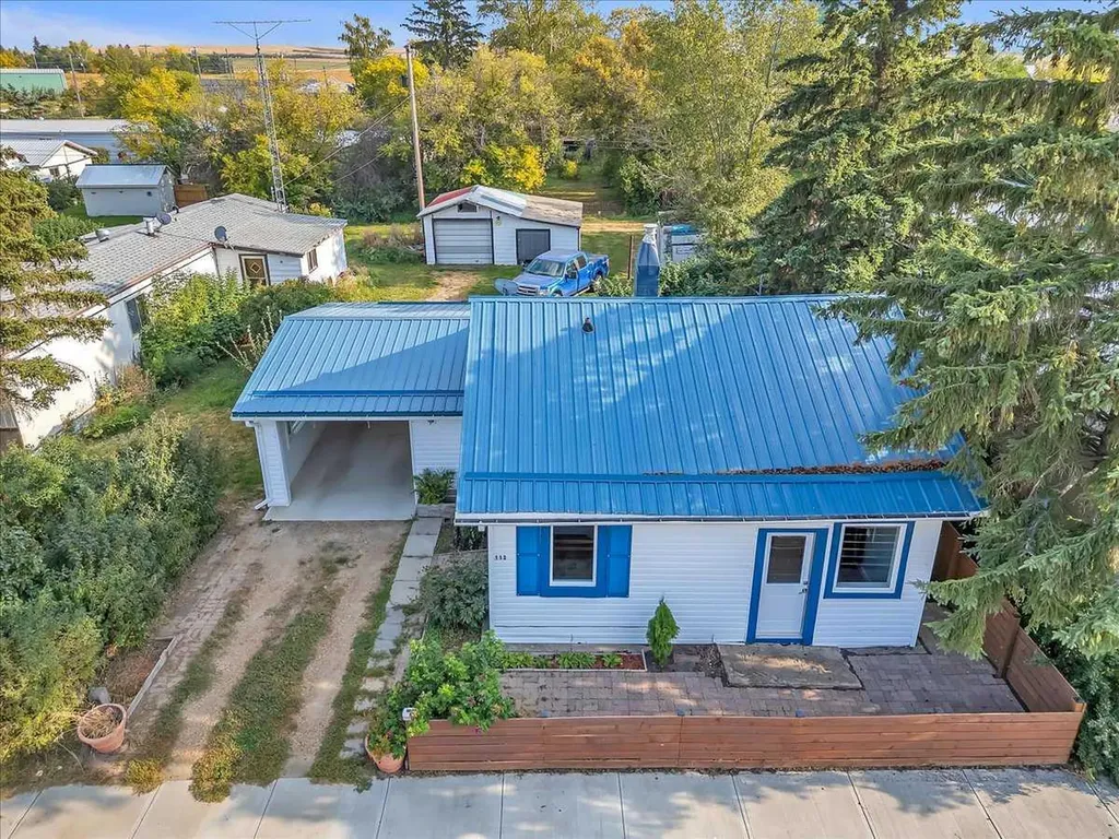 113 2nd Avenue E Delia AB T0J 0W0