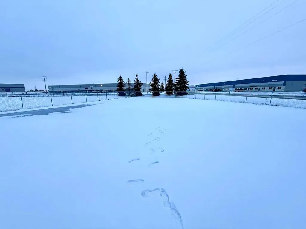 8 Van Der Horn Way Rural Red Deer County AB T4S 2M4