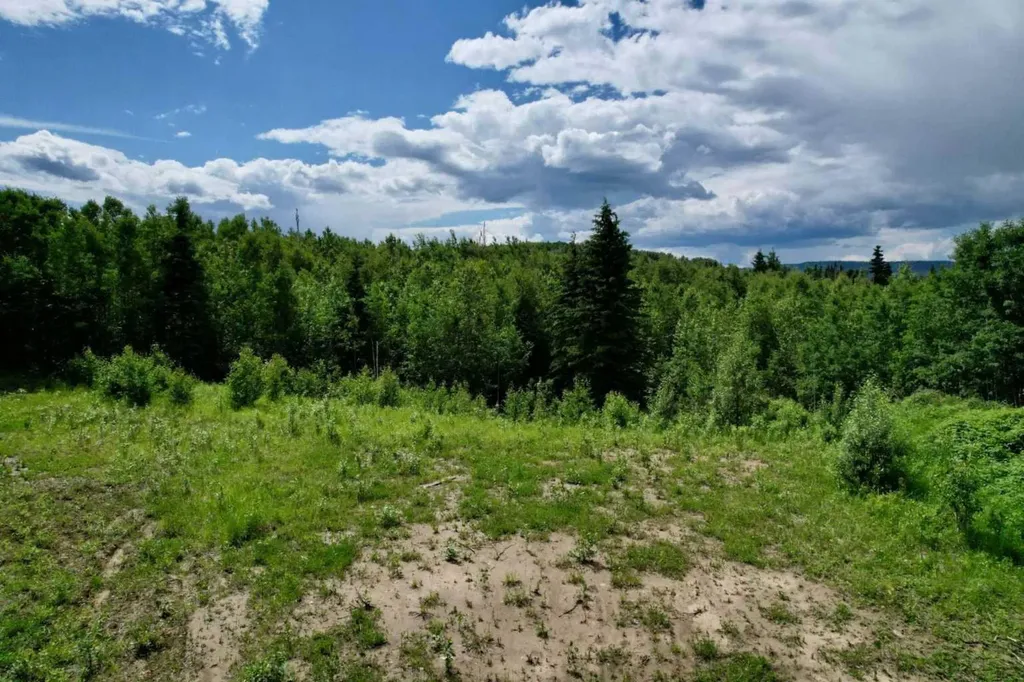 Lot 19 Mountain Springs Rural Woodlands County AB T7S 1N3