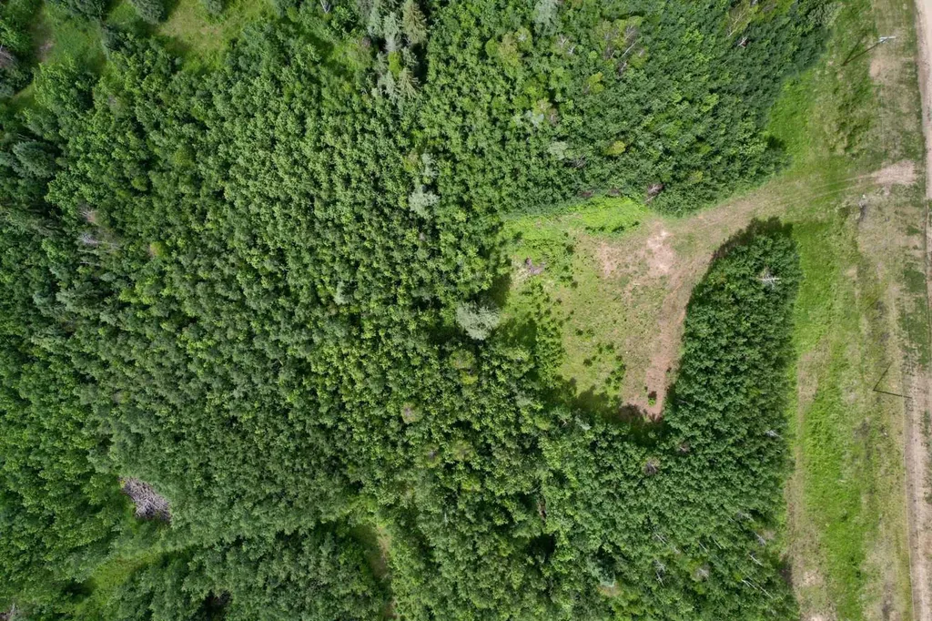 Lot 19 Mountain Springs Rural Woodlands County AB T7S 1N3