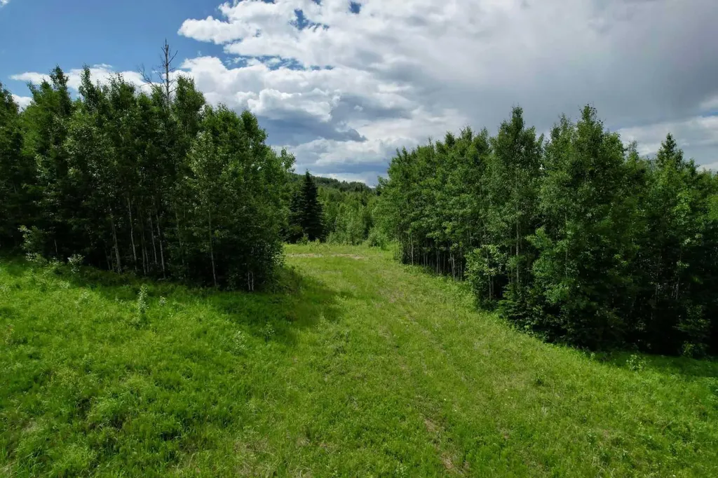 Lot 19 Mountain Springs Rural Woodlands County AB T7S 1N3