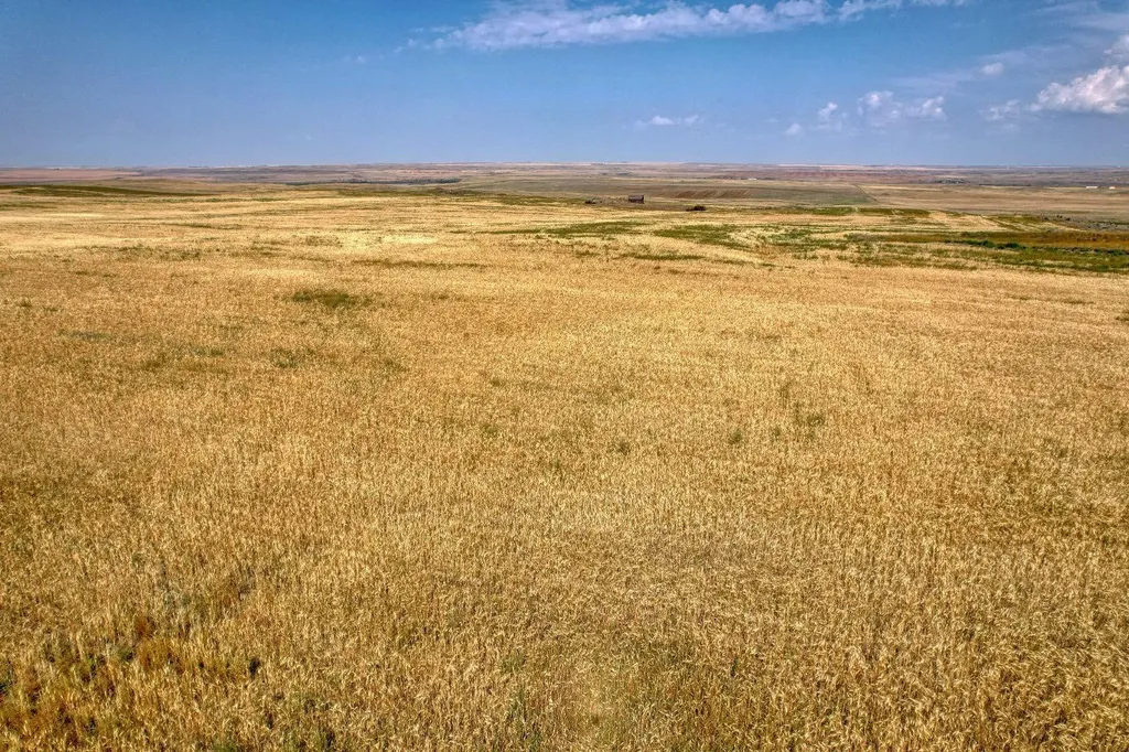 In Special Area 2 Rural Special Areas No. 2 AB T0J 1E0
