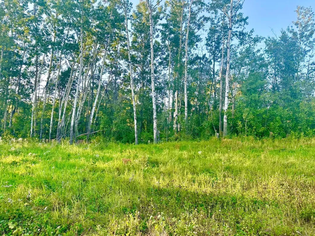 67417 Mcgrane Road Lac La Biche AB T0A 2C2