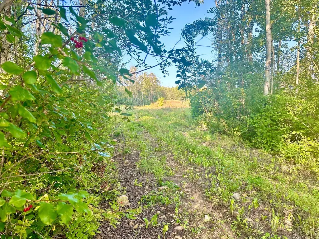 67417 Mcgrane Road Lac La Biche AB T0A 2C2
