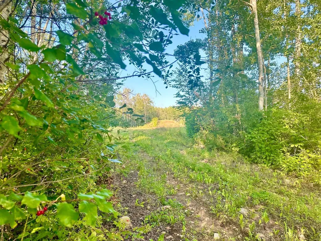 67417 Mcgrane Road Lac La Biche AB T0A 2C2