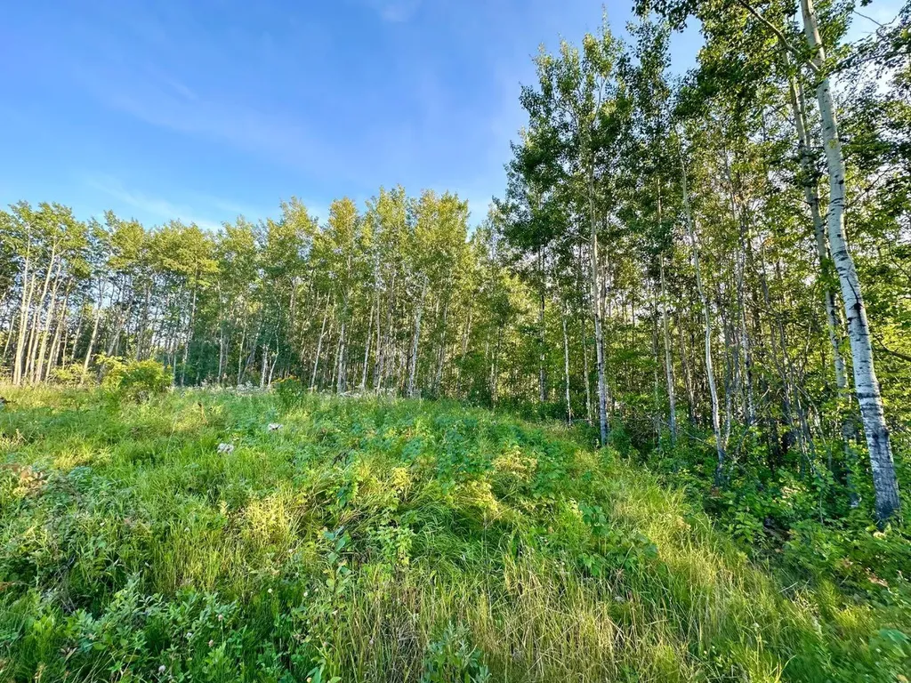 67417 Mcgrane Road Lac La Biche AB T0A 2C2