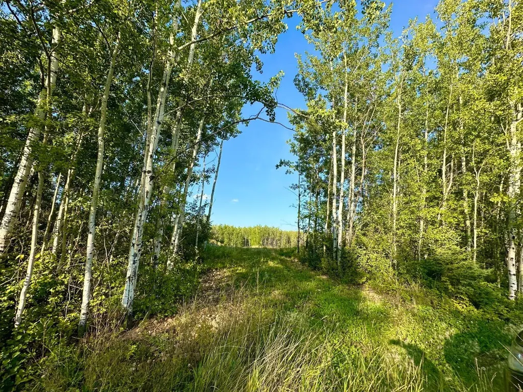 67417 Mcgrane Road Lac La Biche AB T0A 2C2