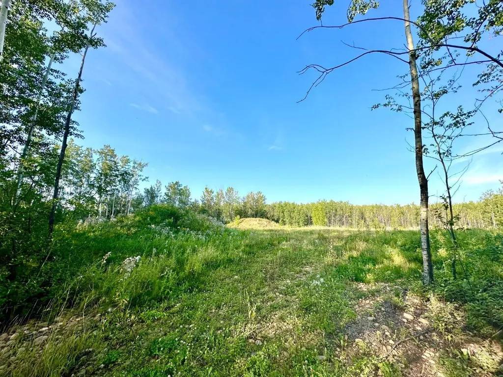 67417 Mcgrane Road Lac La Biche AB T0A 2C2
