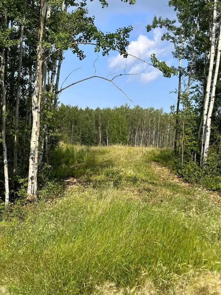 67417 Mcgrane Road Lac La Biche AB T0A 2C2