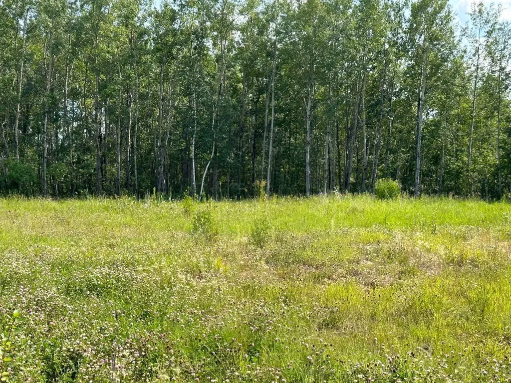 67417 Mcgrane Road Lac La Biche AB T0A 2C2
