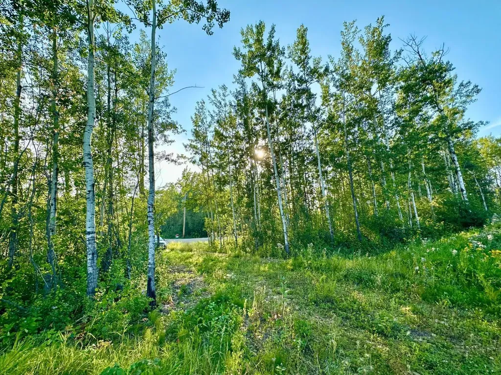 67417 Mcgrane Road Lac La Biche AB T0A 2C2