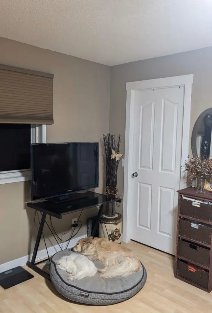 4803 52 Street Lougheed AB T0B 0B9