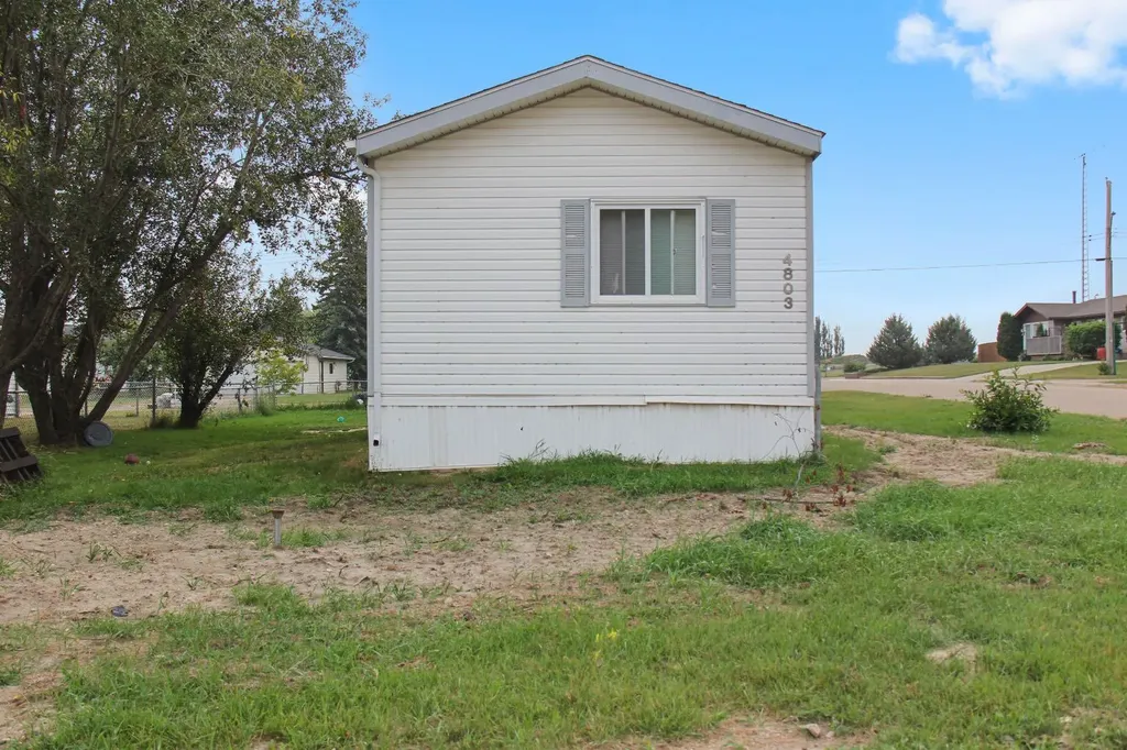 4803 52 Street Lougheed AB T0B 0B9
