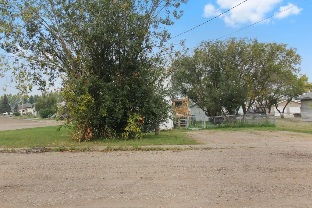 4803 52 Street Lougheed AB T0B 0B9