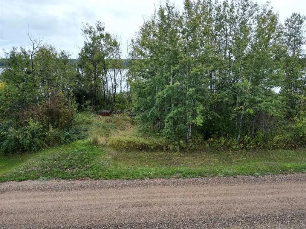 001 Rose Meadow Drive Loon Lake SK S0M1L0