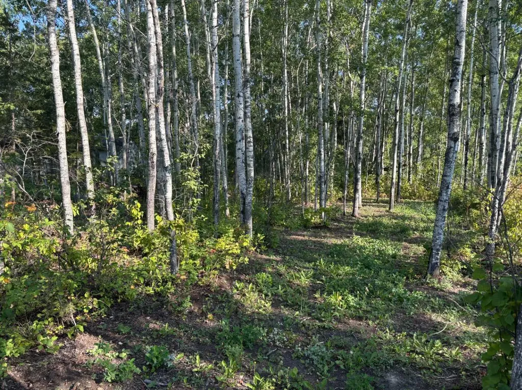 660022 - Range Road 225.5 (Unit 35) Athabasca AB T9S 1C4