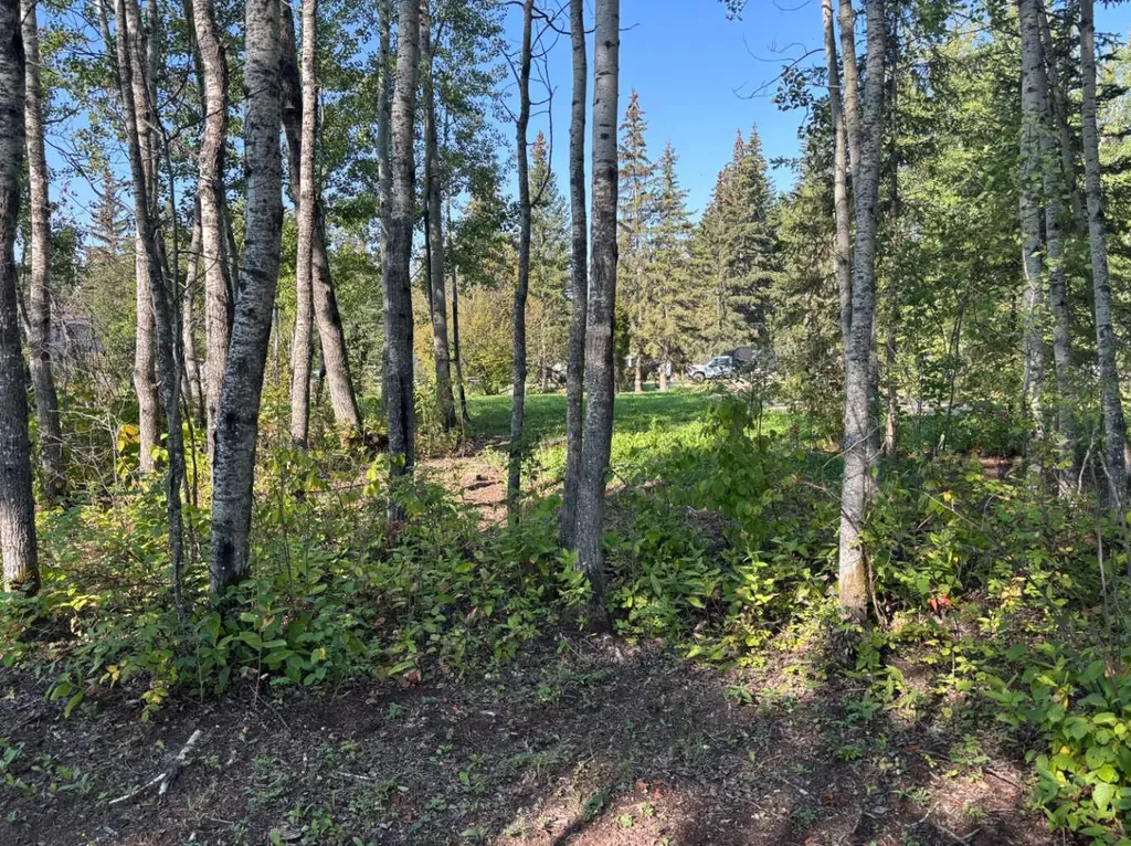 660022 - Range Road 225.5 (Unit 35) Athabasca AB T9S 1C4