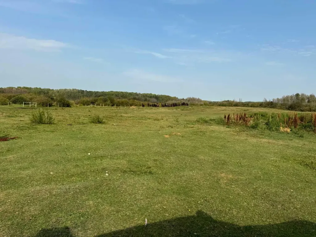 3021 Township Road 400 Rural Lacombe County AB T0M 0X0