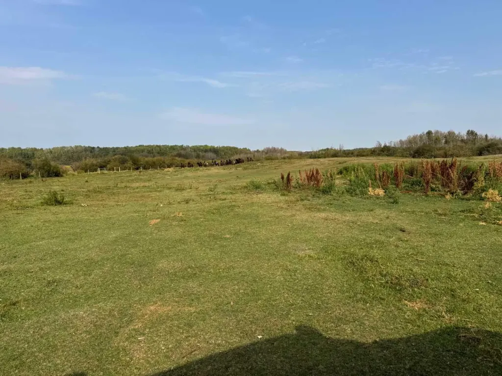 3021 Township Road 400 Rural Lacombe County AB T0M 0X0