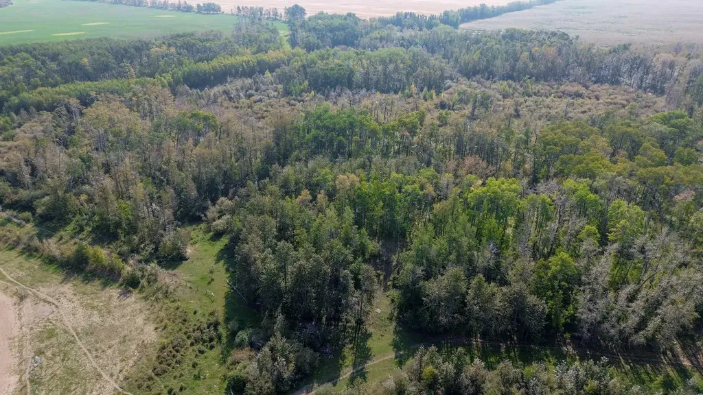 3021 Township Road 400 Rural Lacombe County AB T0M 0X0