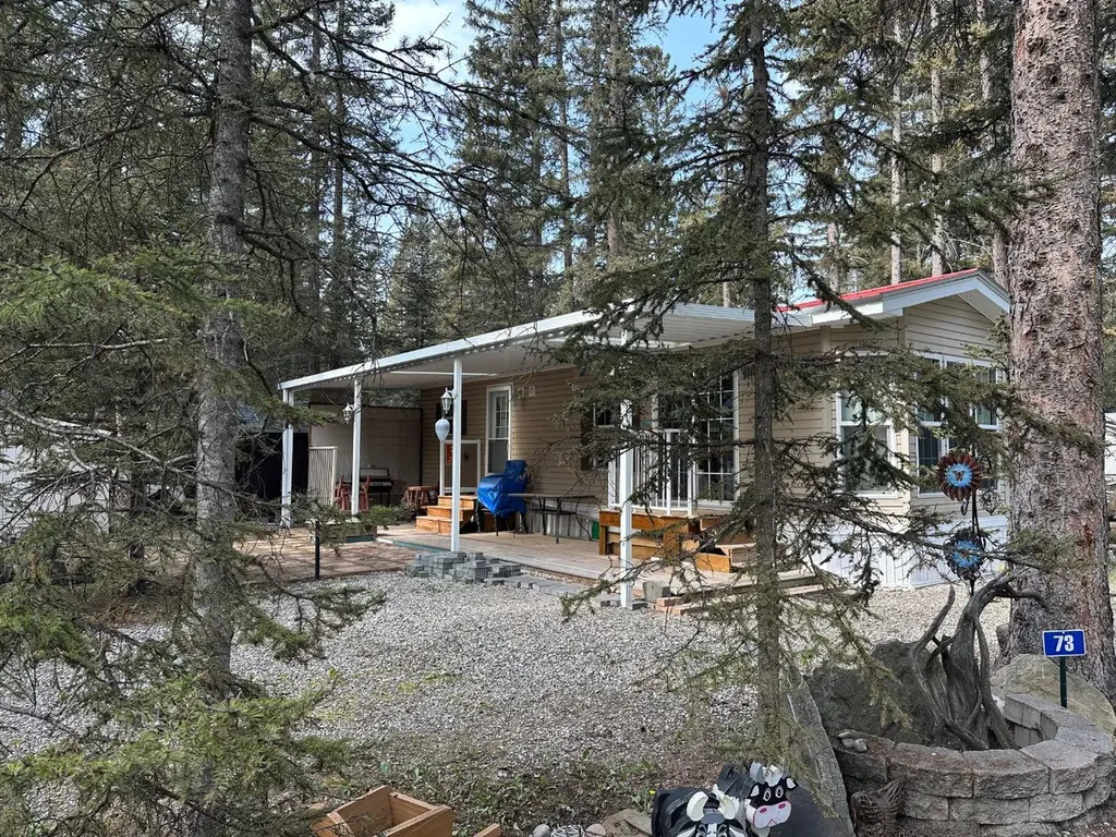 45 Timber Trail Rural Mountain View County AB T0M 1X0