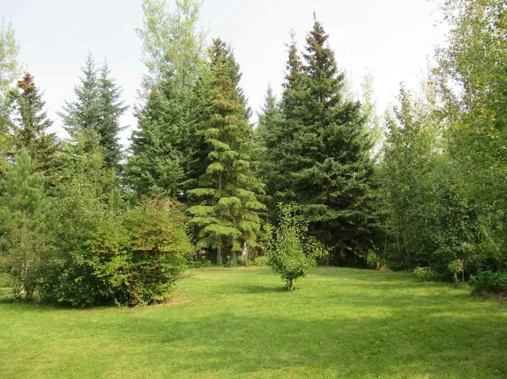 54083A 35-1a Township Rural Clearwater County AB T0M0M0