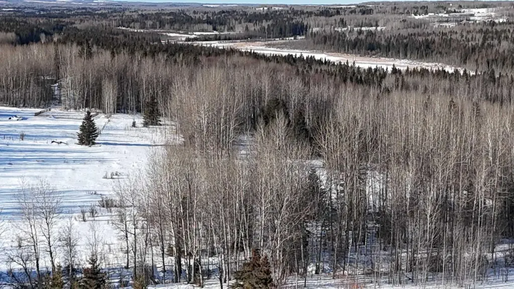 Hwy 20 Junction 13, Hwy 20 Highway Winfield AB T0C 2X0