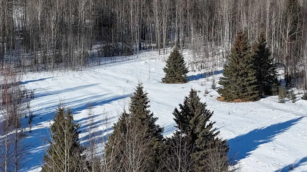 Hwy 20 Junction 13, Hwy 20 Highway Winfield AB T0C 2X0
