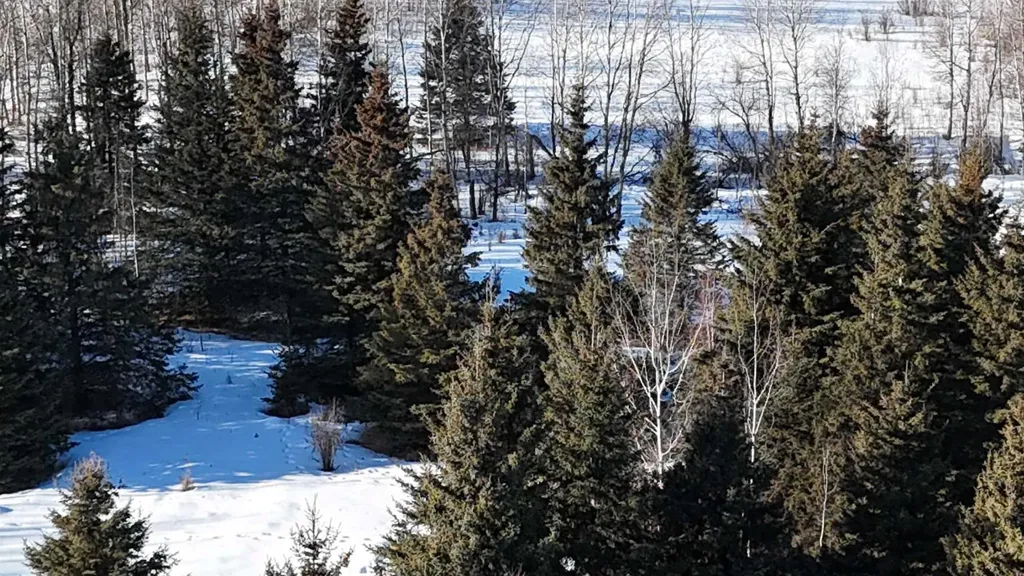 Hwy 20 Junction 13, Hwy 20 Highway Winfield AB T0C 2X0