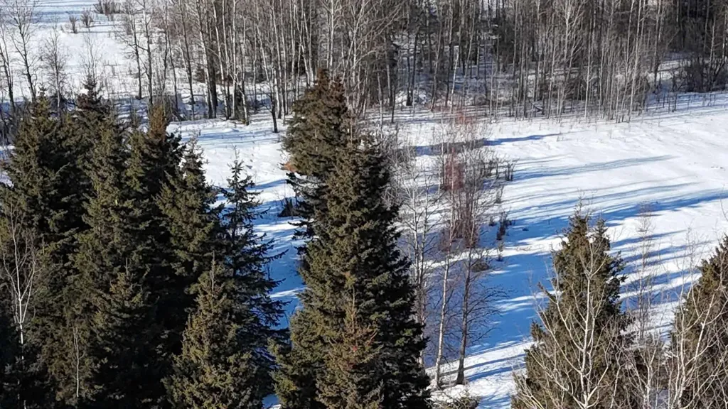 Hwy 20 Junction 13, Hwy 20 Highway Winfield AB T0C 2X0