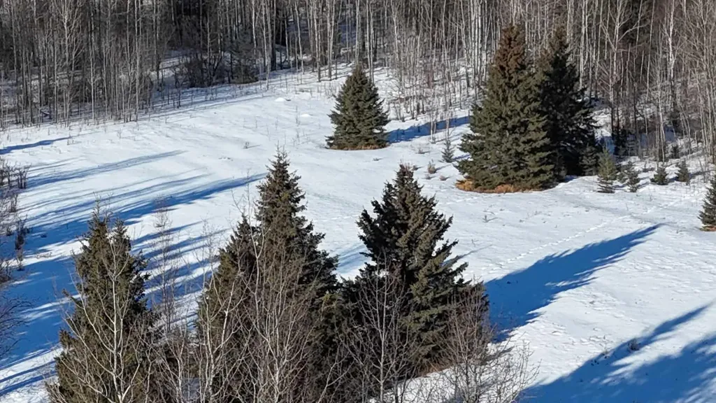Hwy 20 Junction 13, Hwy 20 Highway Winfield AB T0C 2X0