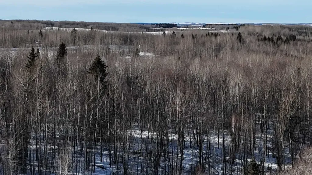 Hwy 20 Junction 13, Hwy 20 Highway Winfield AB T0C 2X0