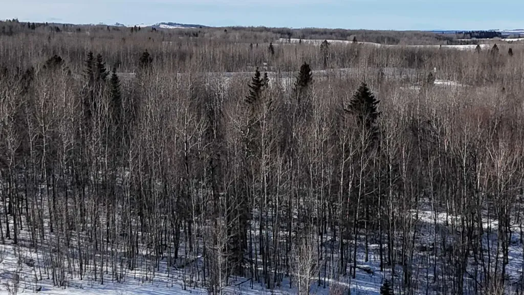 Hwy 20 Junction 13, Hwy 20 Highway Winfield AB T0C 2X0