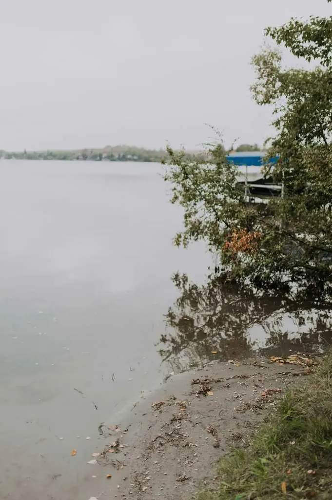Cabin 62 Clear Lake Rural Wainwright No. 61 M.d. Of AB T9W 1S8