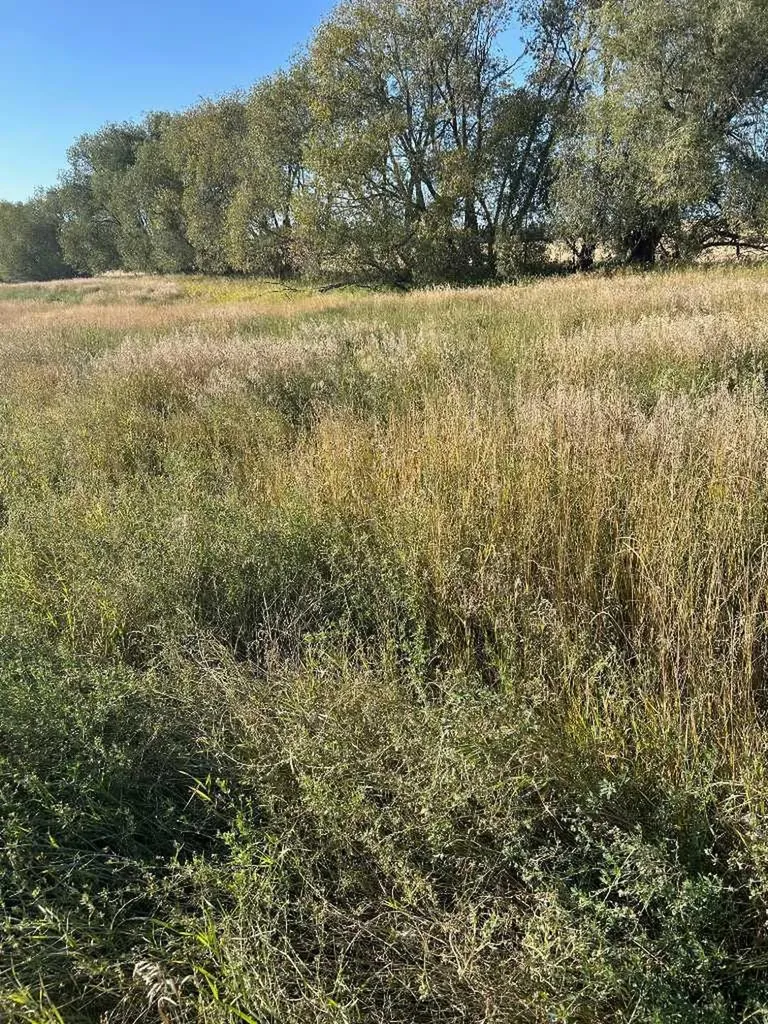 Twship Road 374 Rural Red Deer County AB T4E 1B3