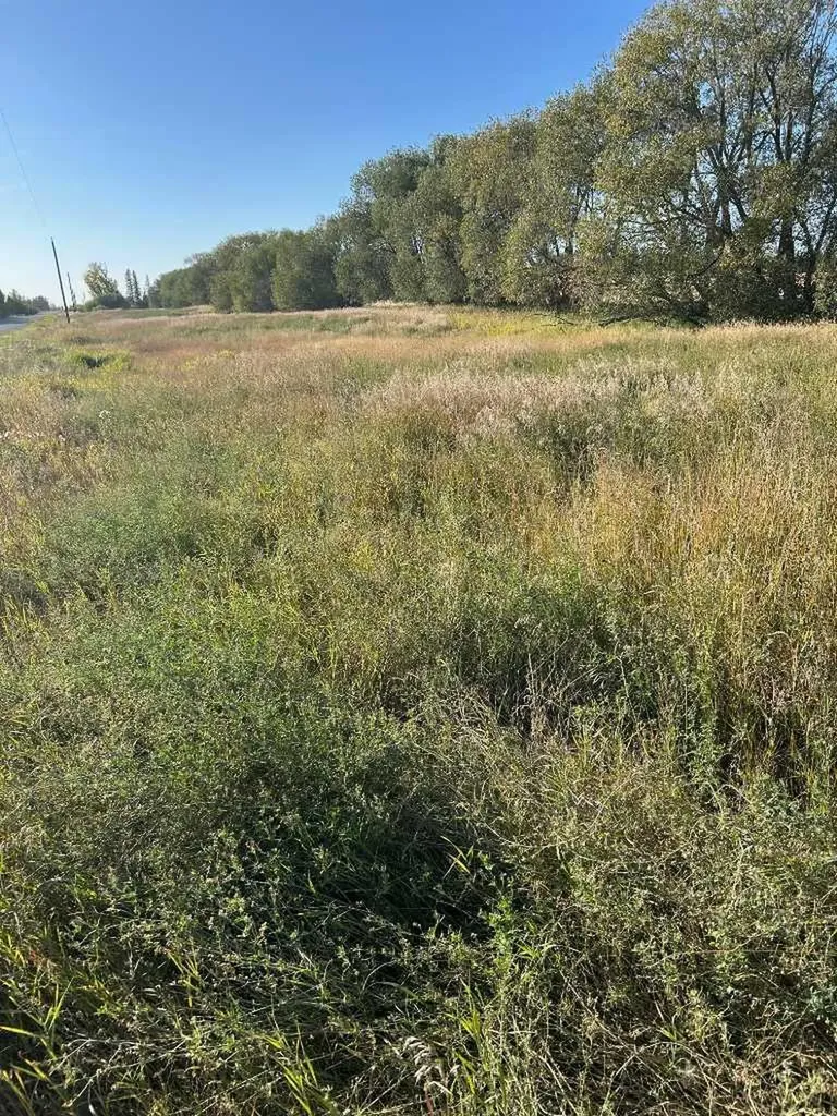 Twship Road 374 Rural Red Deer County AB T4E 1B3