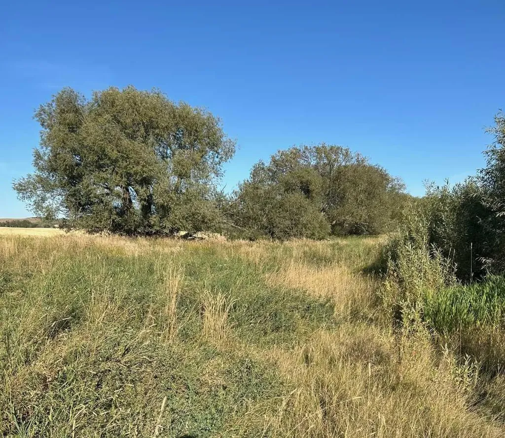 Twship Road 374 Rural Red Deer County AB T4E 1B3