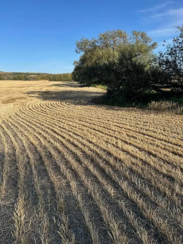 Twship Road 374 Rural Red Deer County AB T4E 1B3