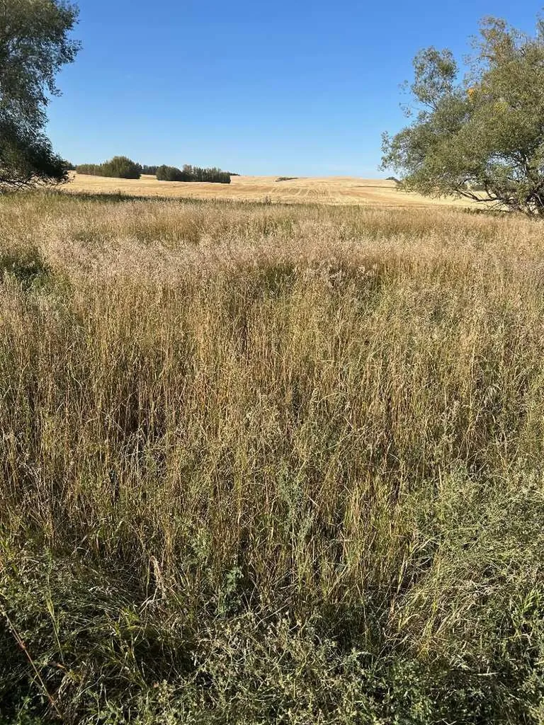 Twship Road 374 Rural Red Deer County AB T4E 1B3