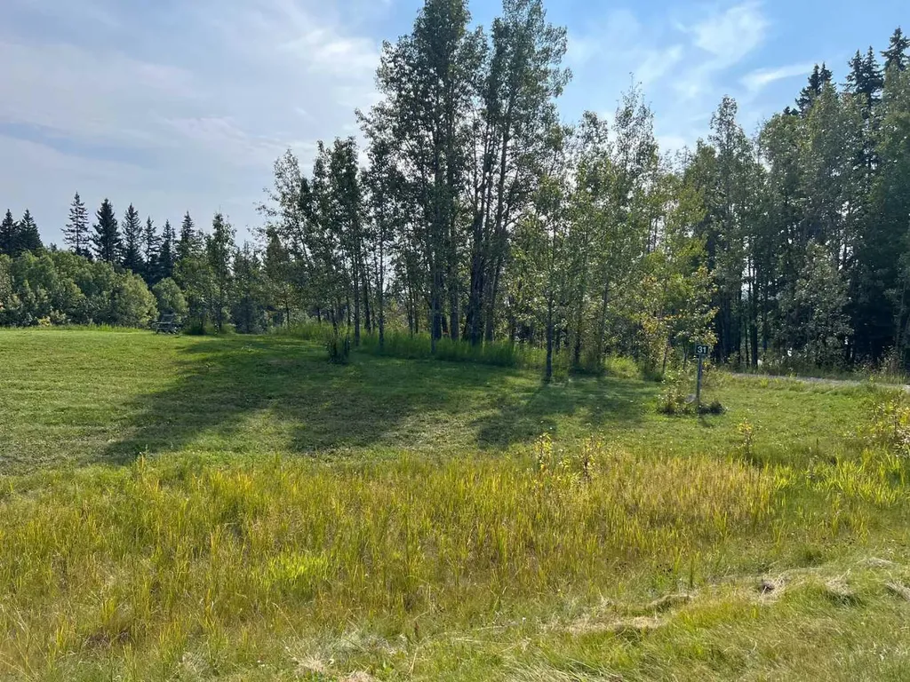 31 Williams Place Bragg Creek AB T0L 0K0